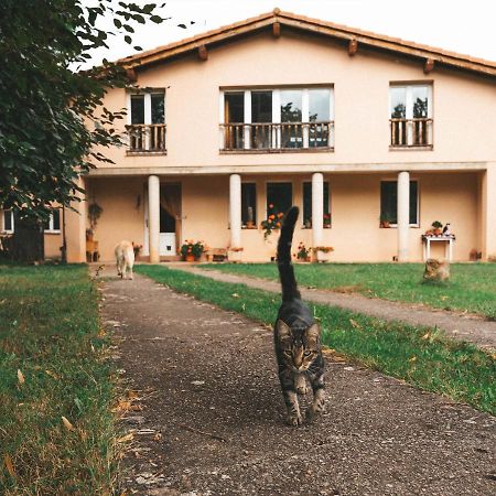 Casa De Campo La Solana Estollo Екстериор снимка