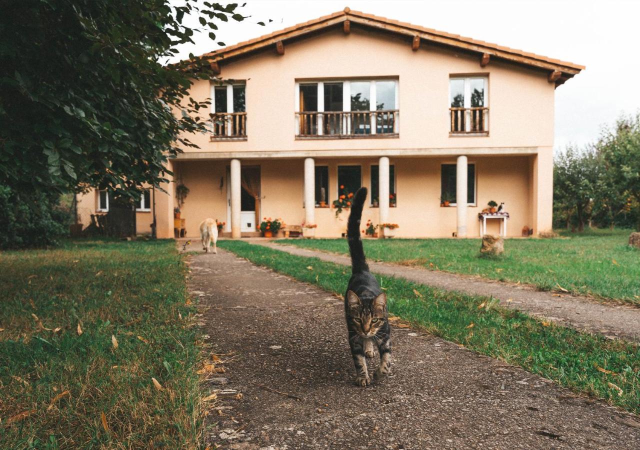 Casa De Campo La Solana Estollo Екстериор снимка
