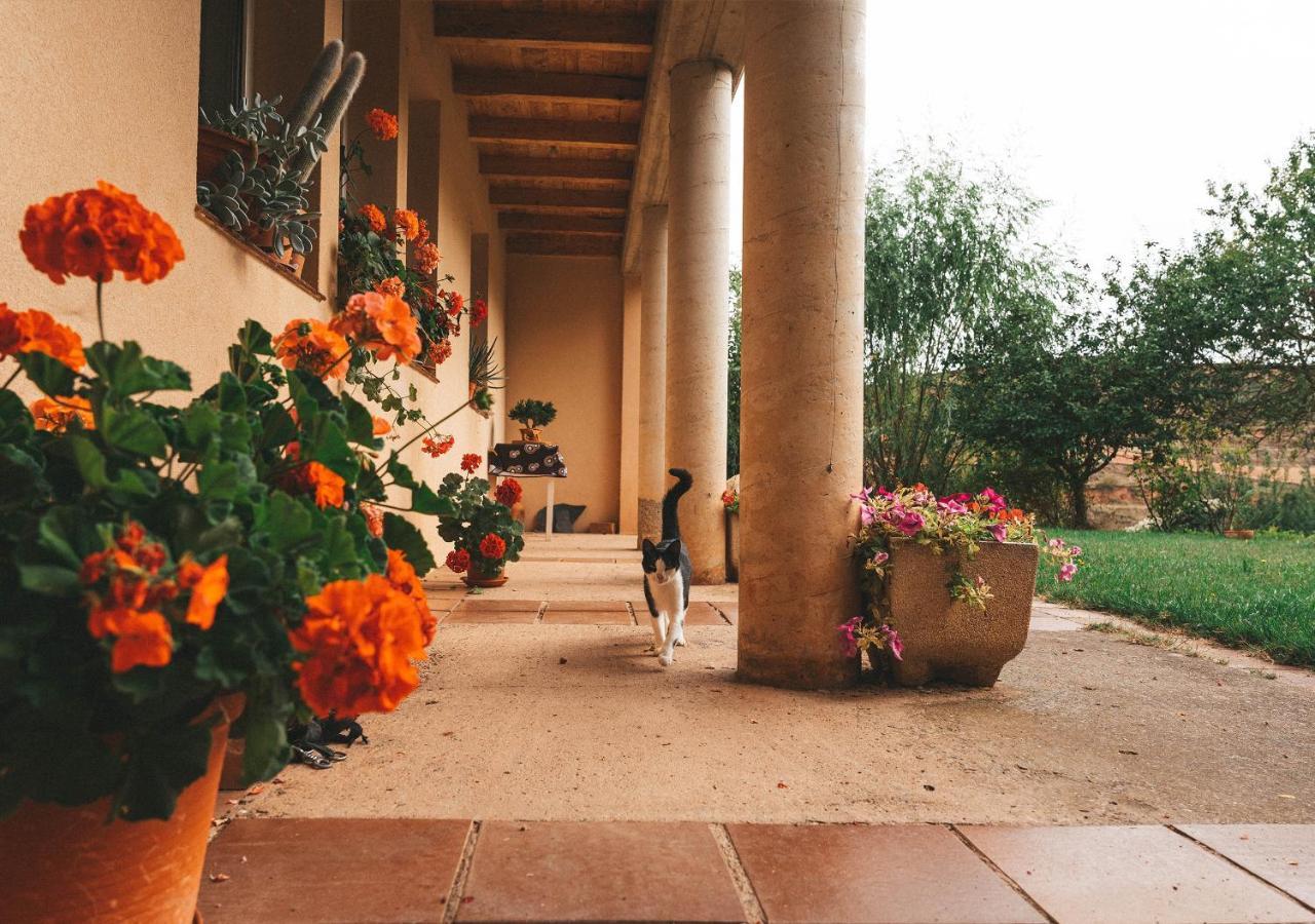 Casa De Campo La Solana Estollo Екстериор снимка